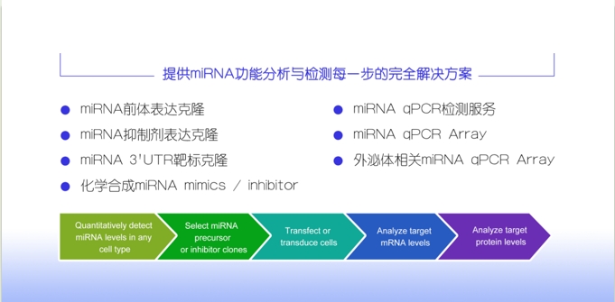 miRNA完整研究方案