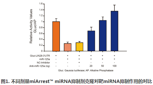 miArrest™ miRNA抑制剂