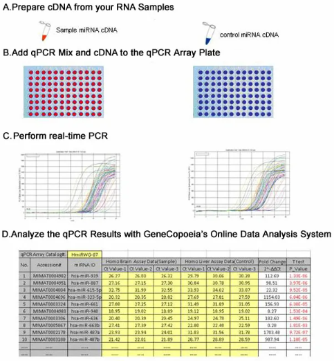 miProfile™ miRNA qPCR Arrays