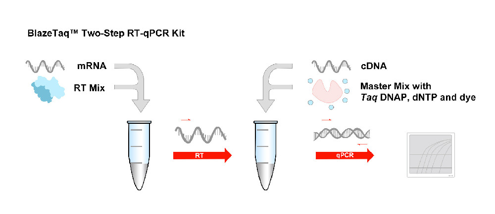 BlazeTaq™ Probe qPCR Mix