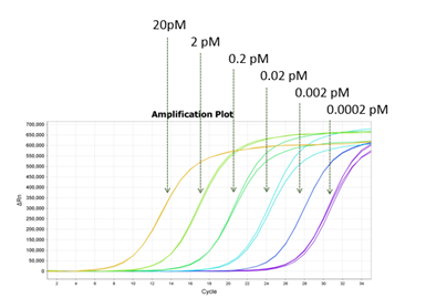 NGSquant™ Library qPCR kit for Illumina®