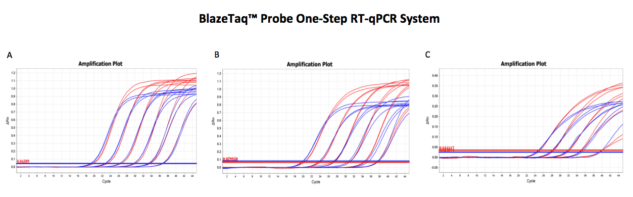 Probe RT-qPCR Amplification