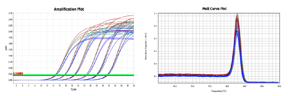 SureScript™ First-Strand cDNA Synthesis Kit